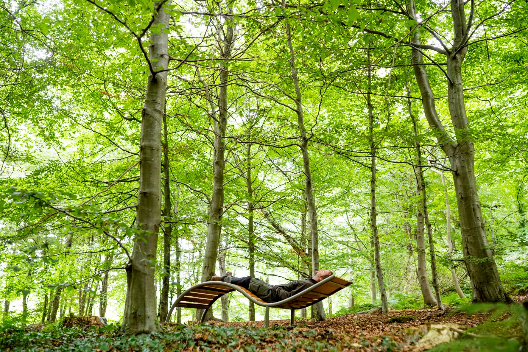 New forest bathing beds designed to facilitate ‘nature therapy